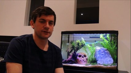 Newa / Micro-Jet MC450 Oxy Pump Overview and Tips + Quick Water Polisher