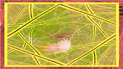 Akebono (Dawn) : KORG MS-20mini/Vox DelayLab