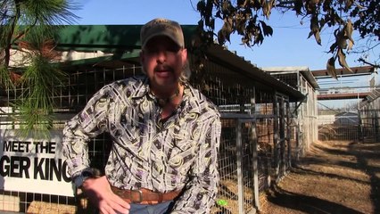 Amazing and shocking story of a serious tiger fight at the GW Zoo