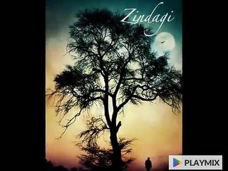 Meri Zindagi To Firaaq Hai - Peer e Kamil (S.A.W) - Ghazal