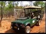Steve Irwin Goes To Africa To Capture Cheetah's