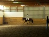MKE Schooling Show - Walk/Trot/Canter