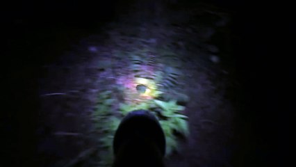 Yomawari (VITA) - Teaser Trailer