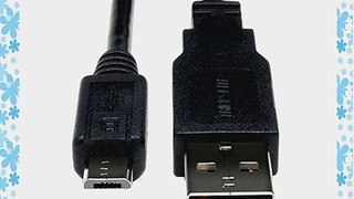 6' USB A TO MICRO B CABLE M/M (10 pieces)
