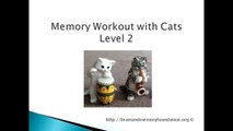 Is My Memory Normal? Try Remembering These Cute Cats - Level 2. Improve my Memory Power.