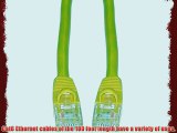 GadKo Cat6 Yellow Ethernet Patch Cable Round Snagless/Molded Boot 100 foot