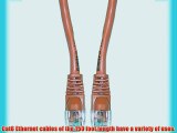 GadKo Cat6 Orange Ethernet Patch Cable Round Snagless/Molded Boot 150 foot