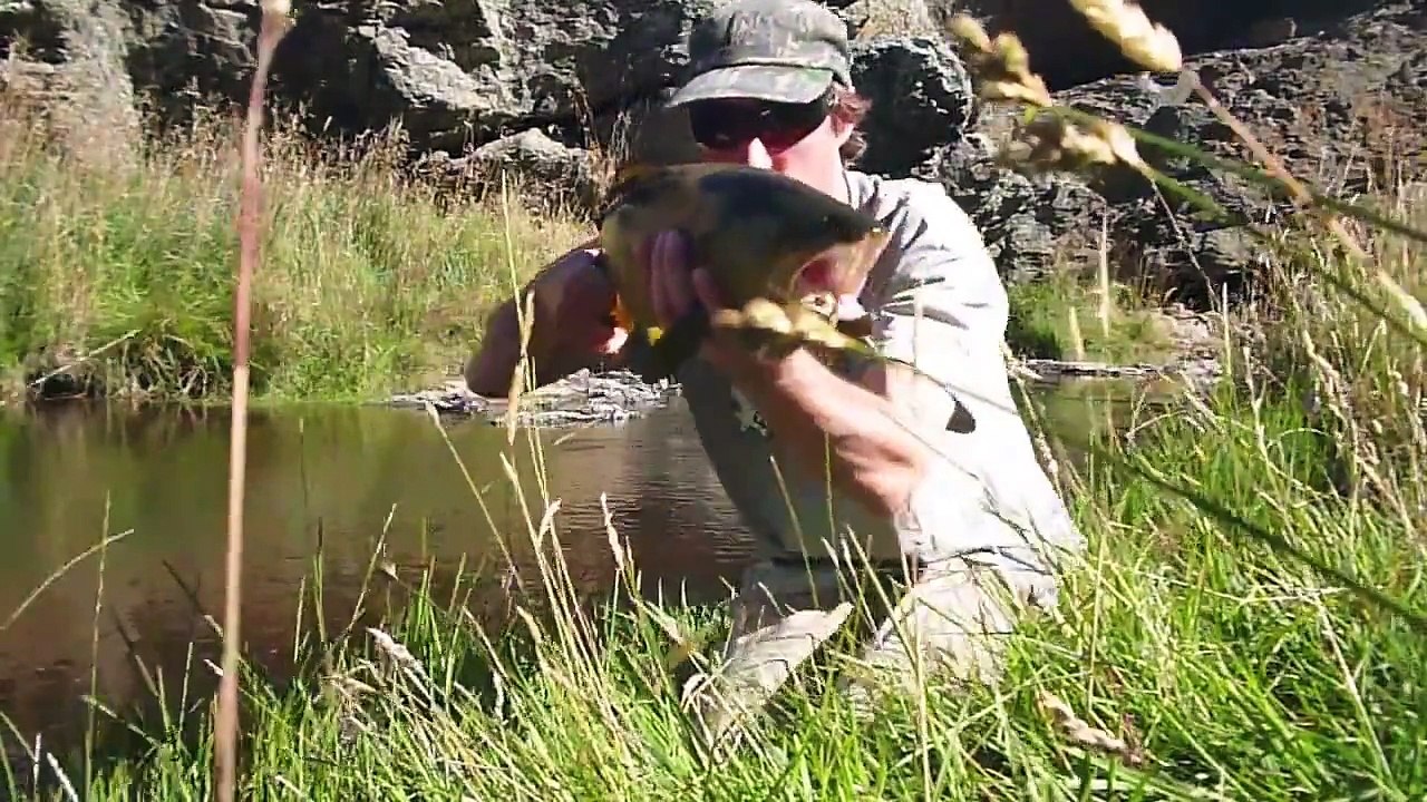 Sinek olta kullanımı alabalık