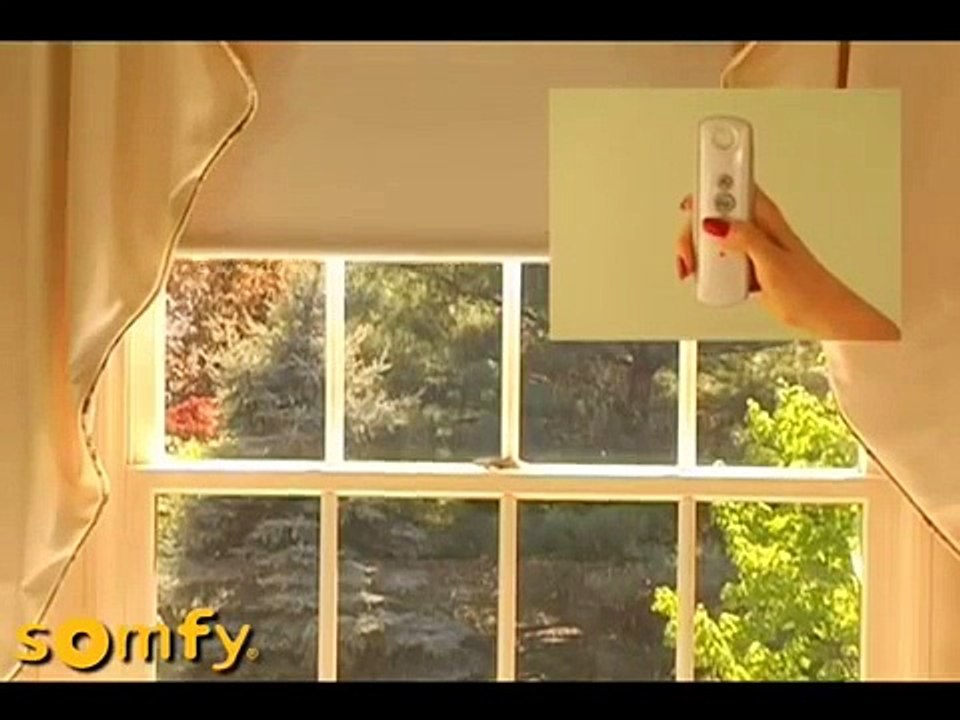 Somfy RTS Motor Programming Instructions - Limit Setting