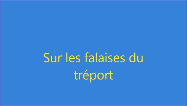 falaises du tréport