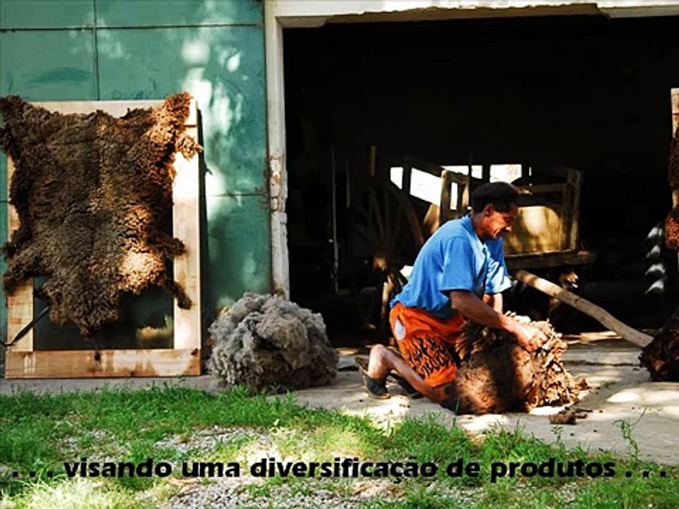 São Pedro P.A.P. Dom Pedrito - RS