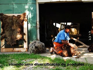 São Pedro P.A.P. Dom Pedrito - RS