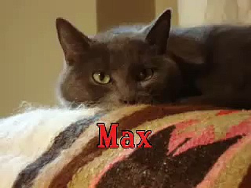 Max and Moe