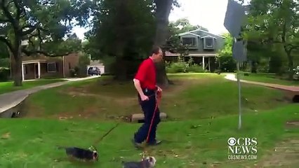 Neighbors help leukemia patient with Chairs for Charlie