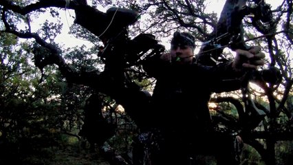 Blood Trail - Tracking Down a 12 Point Buck Shot with a Compound Bow