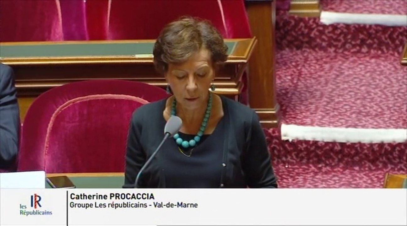 Procuration de vote des Français de l'étranger : " Ne pourrait-on dématérialiser ces procurations ? "