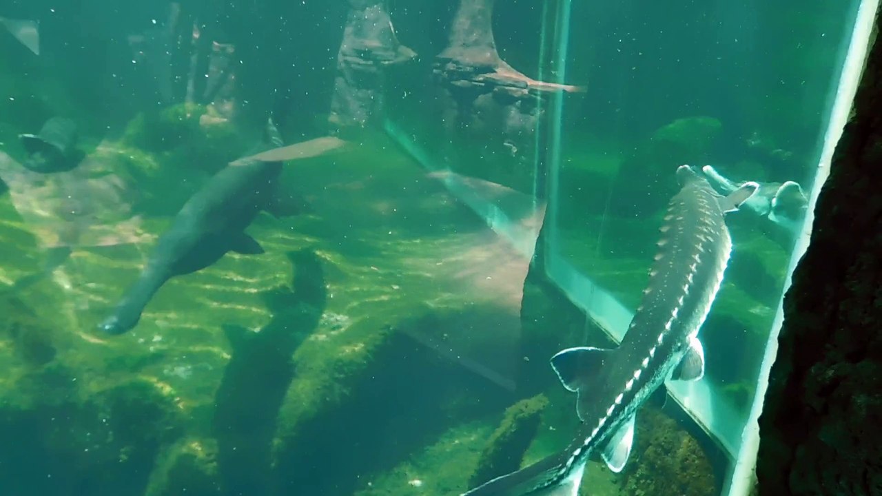 Calme et reposant.........