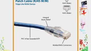 Tripp Lite Cat6 Gigabit Solid Conductor Snagless Patch Cable (RJ45 M/M ) - Blue 150-ft.(N202-150-BL)