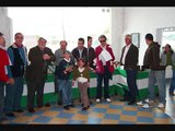 entrega de premios provincial de cadiz. 24 enero 2010 wmv
