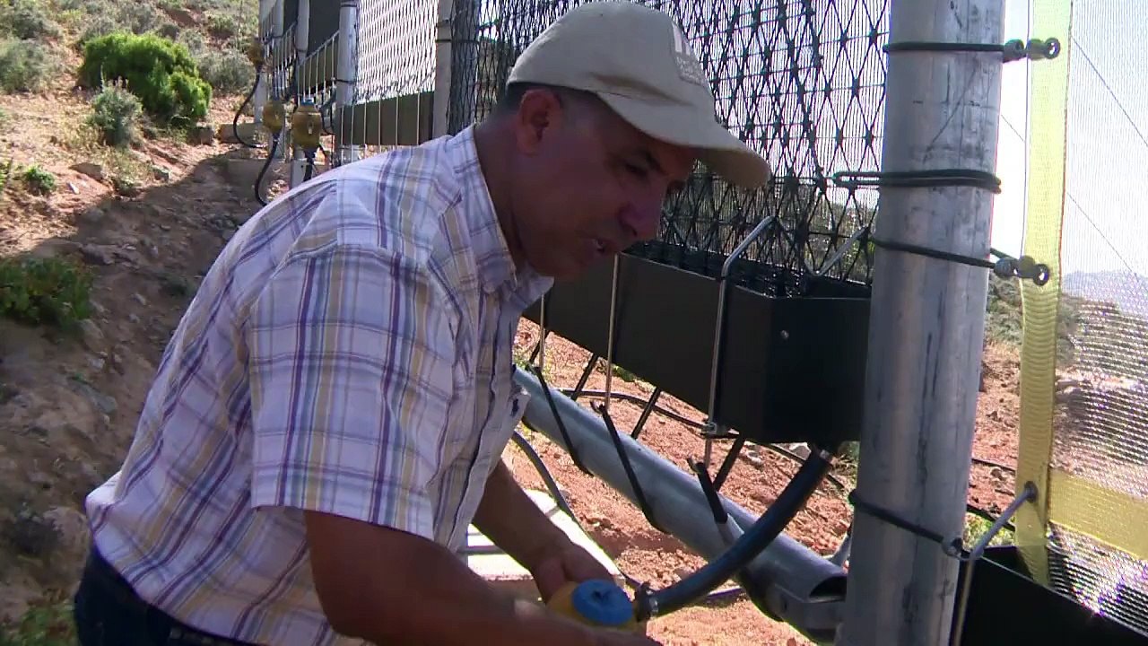 Marokko melkt den nebel