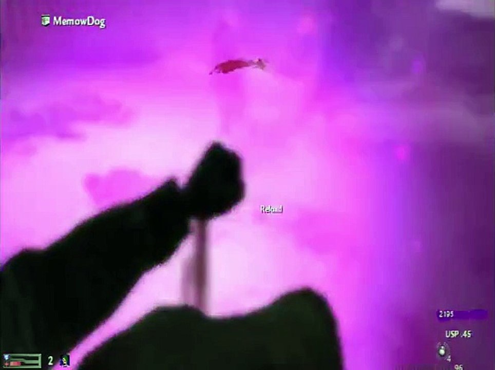Caught Making Love In The Shower!!!(COD WAW PC Game Play