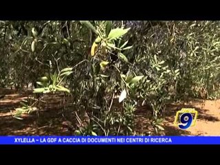 XYLELLA | La GDF a caccia di documenti nei centri di ricerca