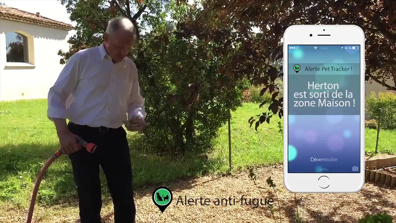 Collier GPS Pet Tracker pour animaux chien chats chevaux...