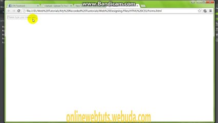 Online Web Tutorials In Urdu HTML Forms Part 4