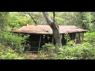 The Carr Family Cabin -- Celebrating a Forgotten Place in the Florida Scrub (Full Video)