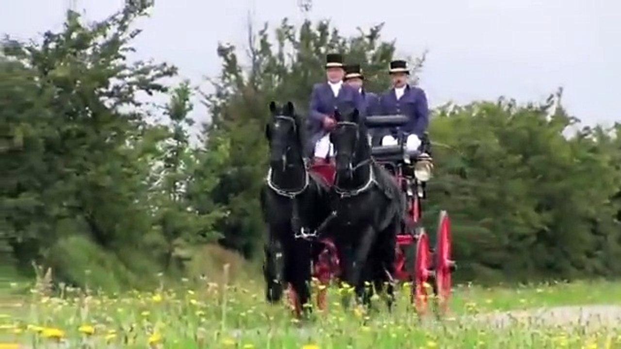 Der Friese - KFPS