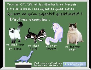 Leçon de français sur les adjectifs qualificatifs - pour les CP, CE1 - learn french