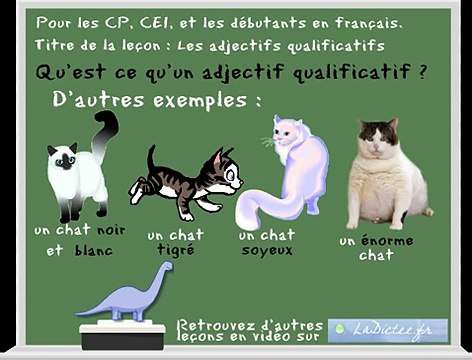 Leçon de français sur les adjectifs qualificatifs - pour les CP, CE1 - learn french