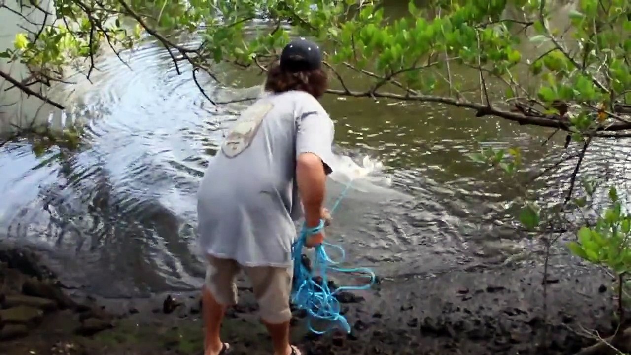 NEW! Easy Method Cast Net Throw. One handed Ninja Style! video