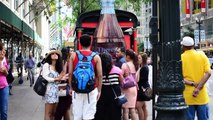 JCDecaux Coca Cola Bus Shelter, Chicago
