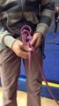 apprendre à faire son noeud de 8 en escalade