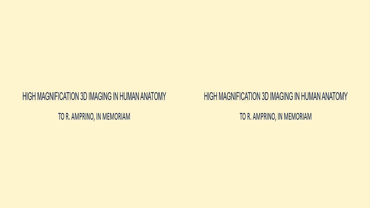 HIGH MAGNIFICATION 3D IN HUMAN ANATOMY 3