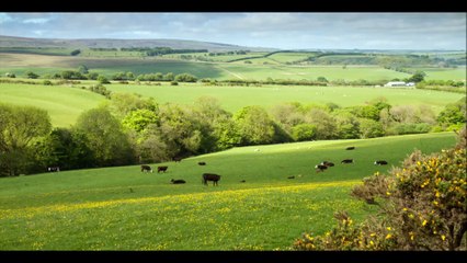 Cheap hunting lands for Sale SC