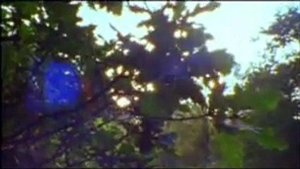 Burnt Offering - The Cult of the Wicker Man - 4/4