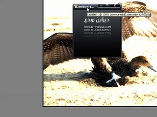 تصفية الصورة فوتوشوب