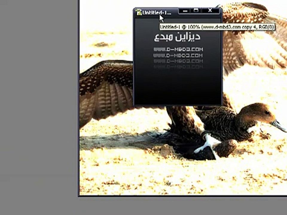 تصفية الصورة فوتوشوب