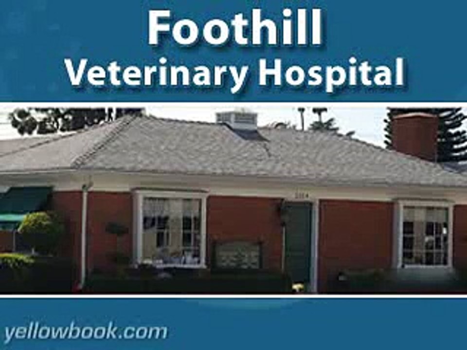 Foothill Veterinary Hospital - Pasadena, CA