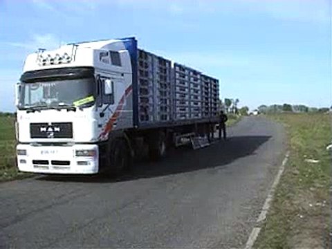 BİR KAMYON DOLUSU KUŞUN DOĞAYA SALINMA ANI