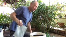 Loading a homemade bokashi bucket and using homemade bokashi sawdust.