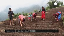 Nepal: Life after the earthquake