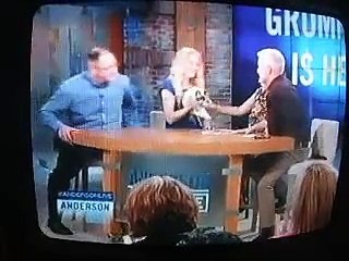 Anderson Cooper /Grumpy Cat