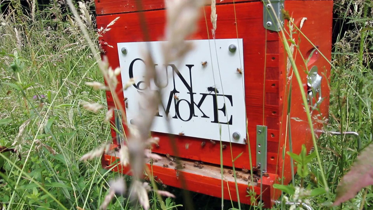 Ruche Gunsmoke 2015