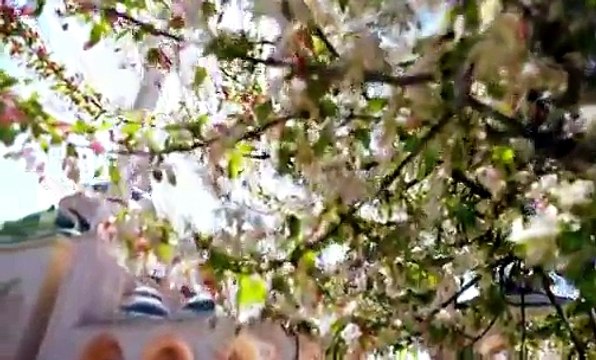 رحمن رحمن - مشاري راشد العفاسي Mishari Rashid Al Afasy - Rahman ( ShazUK )