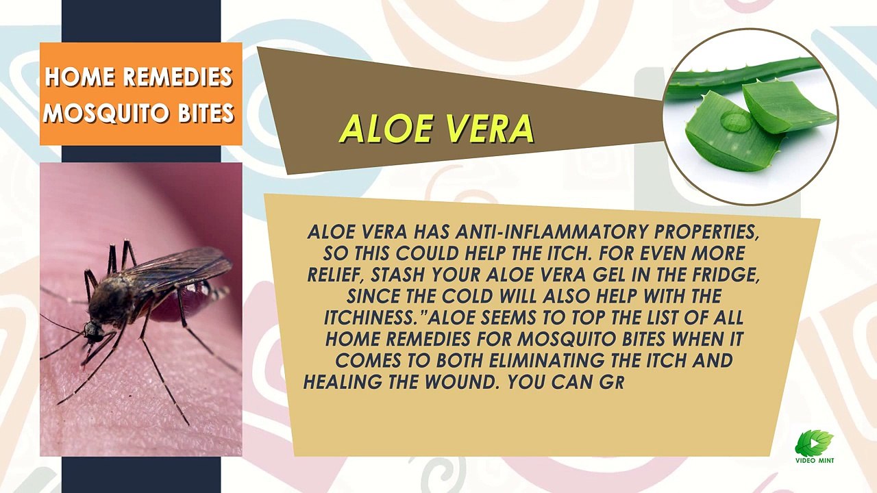 Home Remedies For Mosquitoes Bites | Best Health Tips | Educational Videos