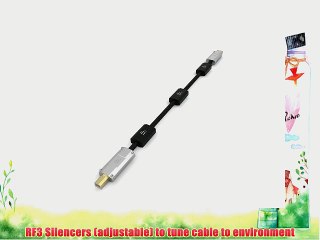 iFi Mercury USB Cable (0.5 Meter)