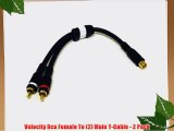 Velocity Rca Female To (2) Male Y-Cable - 2 Pack